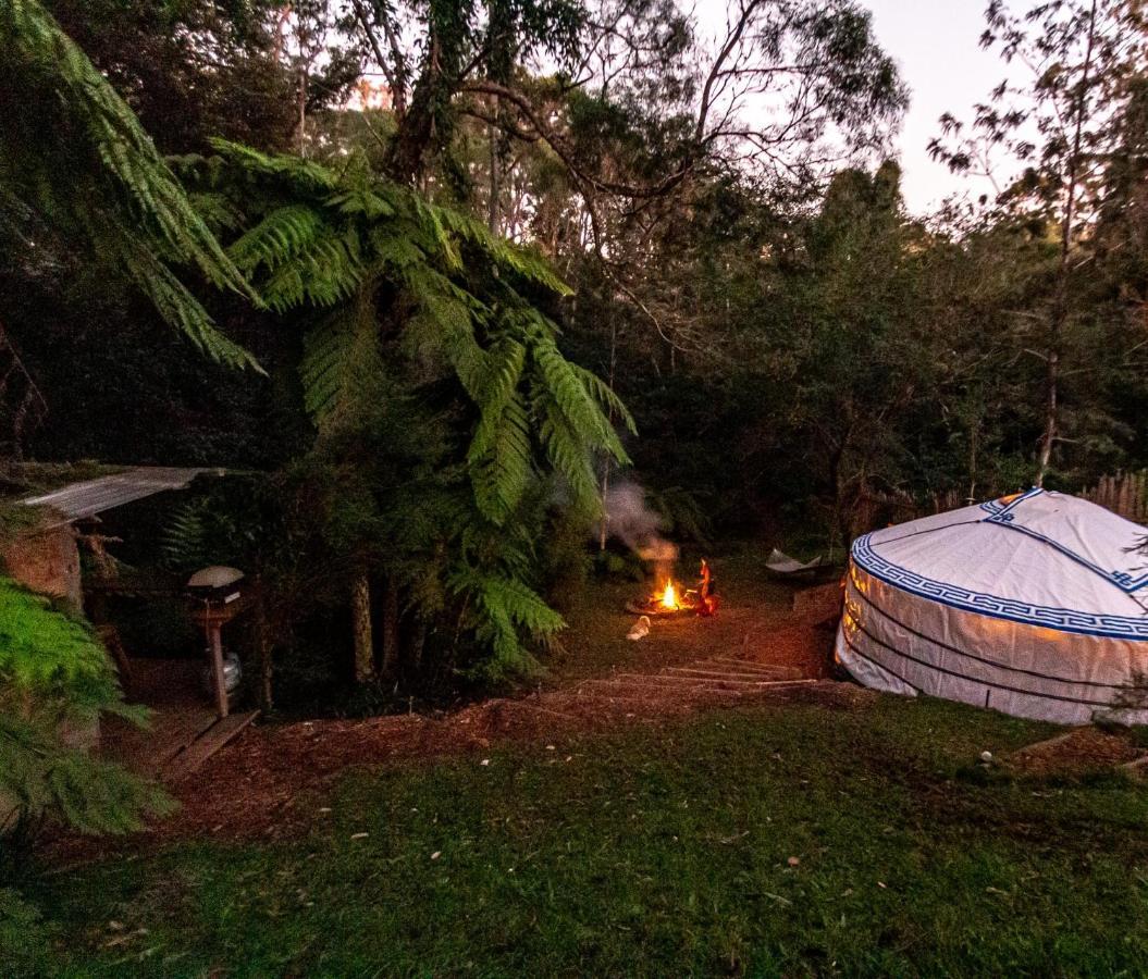 Hotel Purling Brook Falls Gwongorella Springbrook Exterior foto