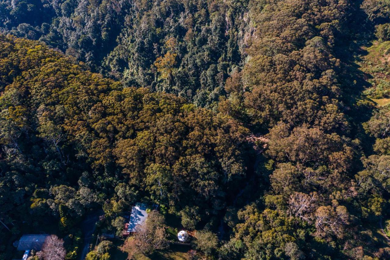 Hotel Purling Brook Falls Gwongorella Springbrook Exterior foto