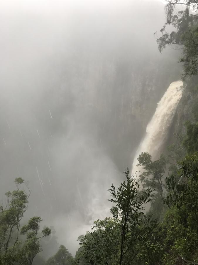 Purling Brook Falls Gwongorella Springbrook Exterior foto